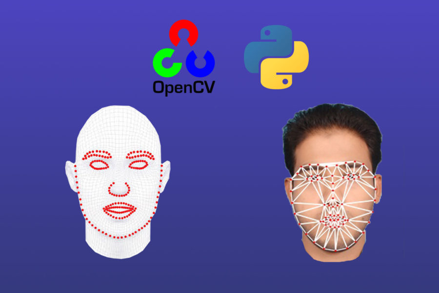 Create Delaunay Triangulation Face On Live Webcam OpenCV Python